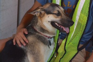 Picture of Princess