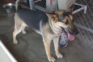 Picture of Princess