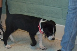 Picture of Tammy