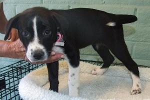 Picture of Tammy