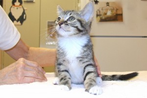 Picture of Tom