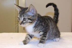 Picture of Tom