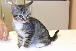 Picture of Tom