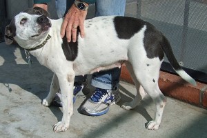 Picture of Cali