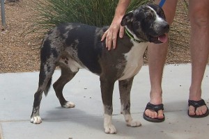 Picture of Finley