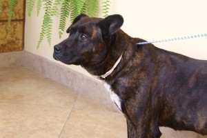 Picture of Isabella