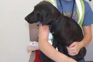 Picture of Kaley
