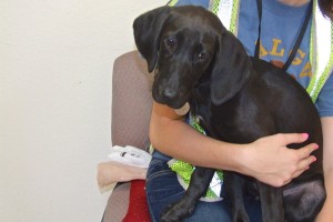 Picture of Kaley