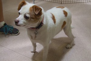 Picture of Lucy