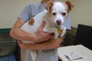 Picture of Lucy