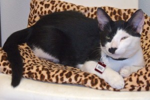 Picture of Max