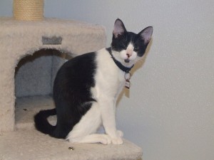 Picture of Molly