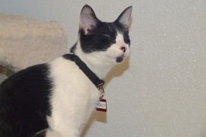 Picture of Molly