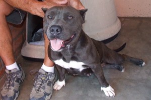 Picture of Nala