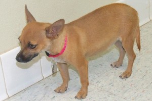 Picture of Signe
