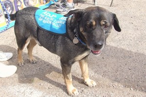 Picture of Trefor