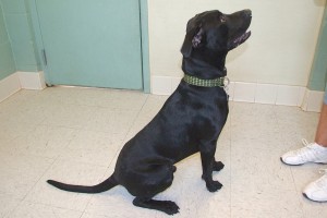 Picture of Curtis