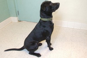 Picture of Curtis