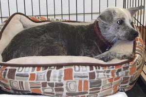 Picture of Mitzi