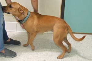 Picture of Raquel