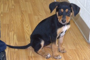 Picture of Addie