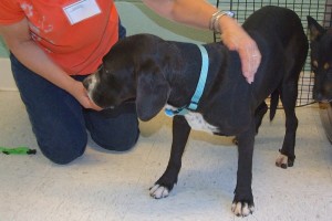 Picture of Ruthie