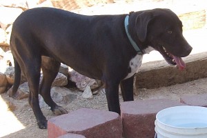Picture of Ruthie