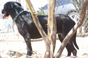 Picture of Ruthie