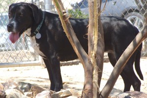 Picture of Ruthie