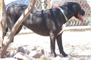 Picture of Ruthie