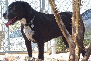 Picture of Ruthie
