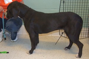 Picture of Ruthie