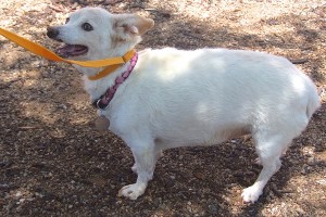 Picture of Sara Lee