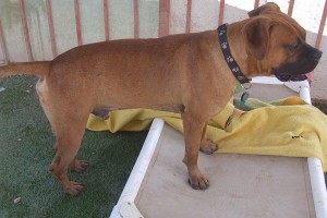 Picture of Argo