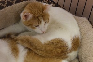 Picture of Duncan