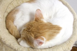 Picture of Duncan
