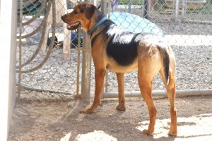 Picture of Eli