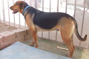 Picture of Eli