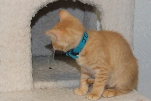 Picture of Jeremy