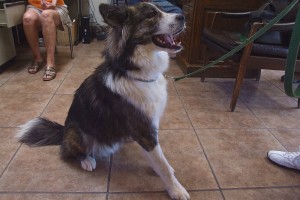 Picture of Rocket