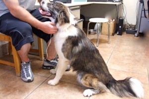 Picture of Rocket