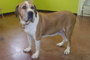 Picture of Sammy