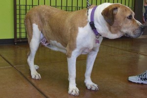 Picture of Sammy