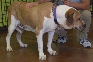 Picture of Sammy