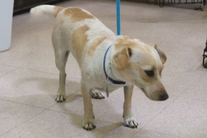 Picture of Sheri