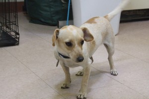 Picture of Sheri