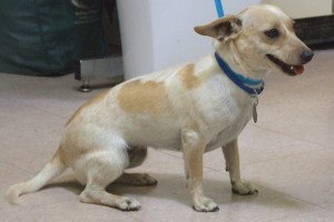 Picture of Sheri