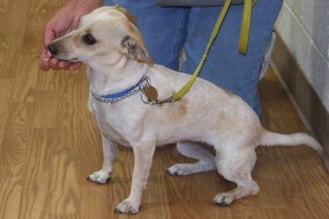 Picture of Sheri
