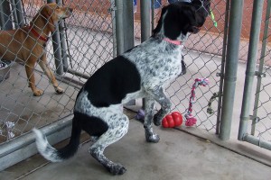 Picture of Zoey