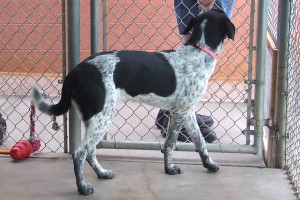 Picture of Zoey